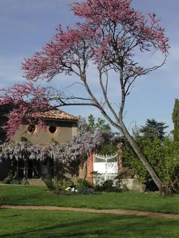 Au Chateau - B&B Saint-Nicolas-de-la-Grave 2*,